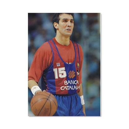 Poster Girona basket basketball 59394