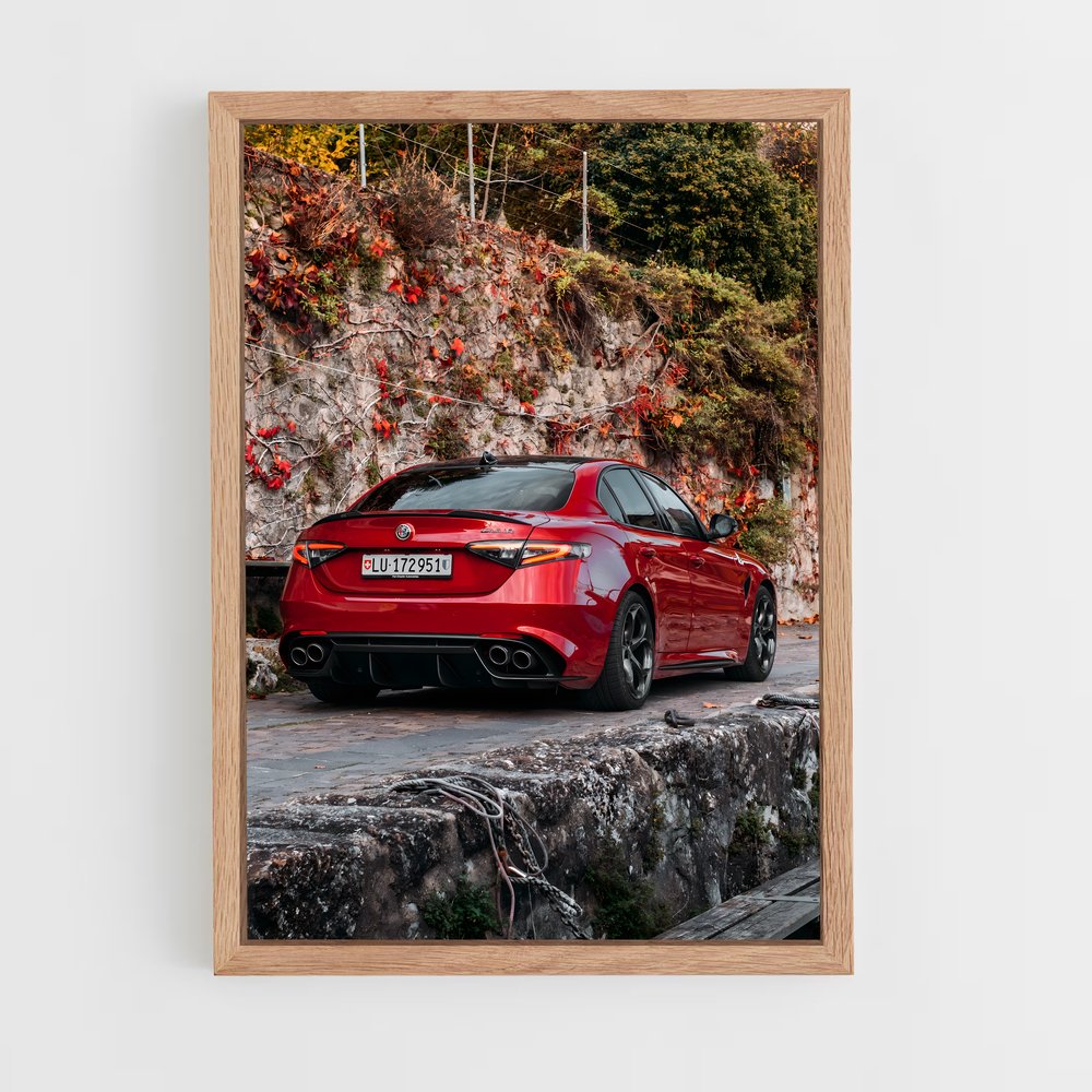 ap-giulia quadrifoglio-7 cadre Bois clair