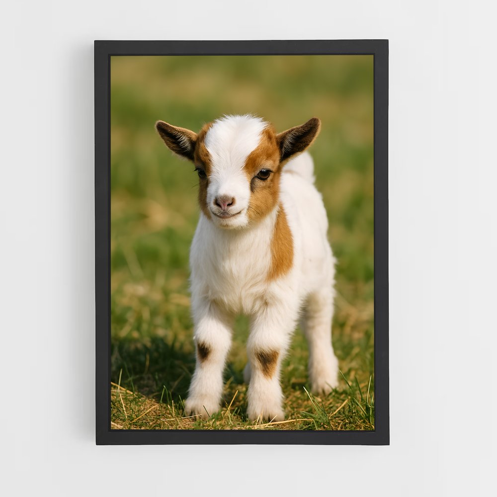 ap-goat-3 cadre Noir