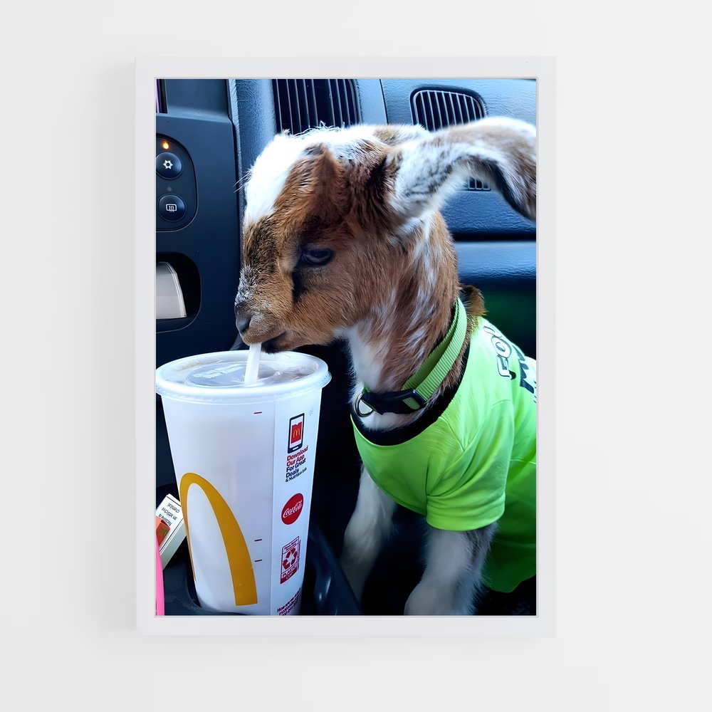 ap-goat-4 cadre Blanc