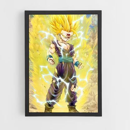 ap-gohan-10 cadre Noir