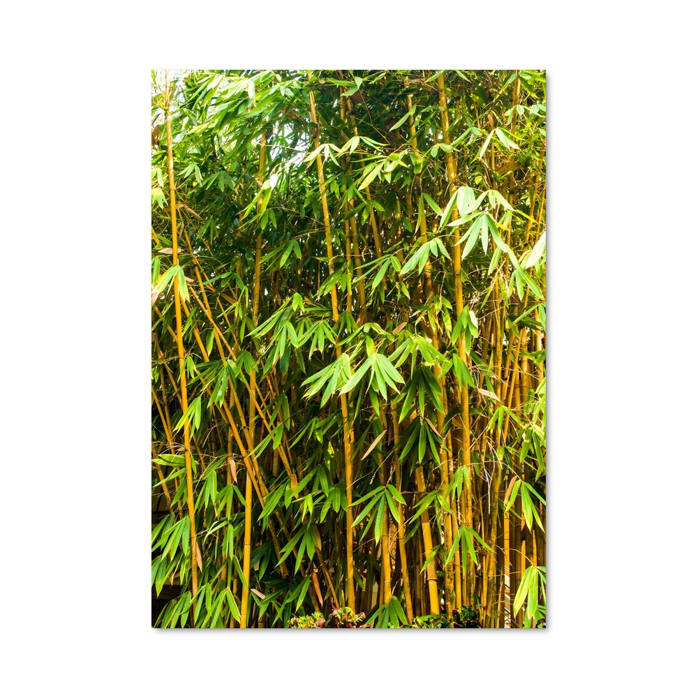 Poster Forêt Dorée