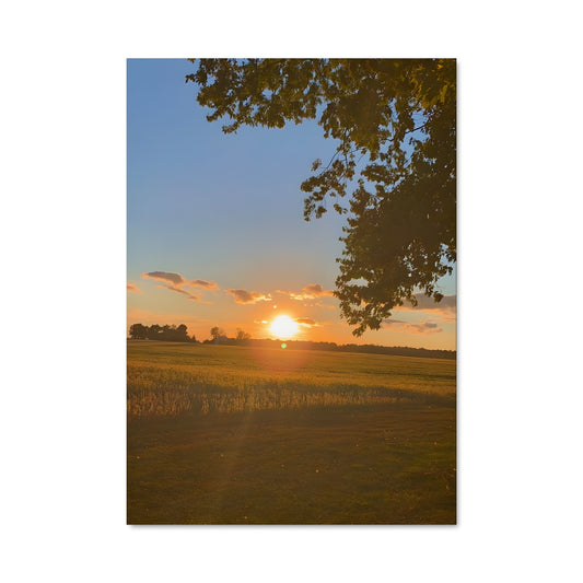 Poster Golden hour 97834