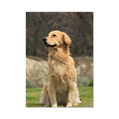 Poster Golden retriever 84985