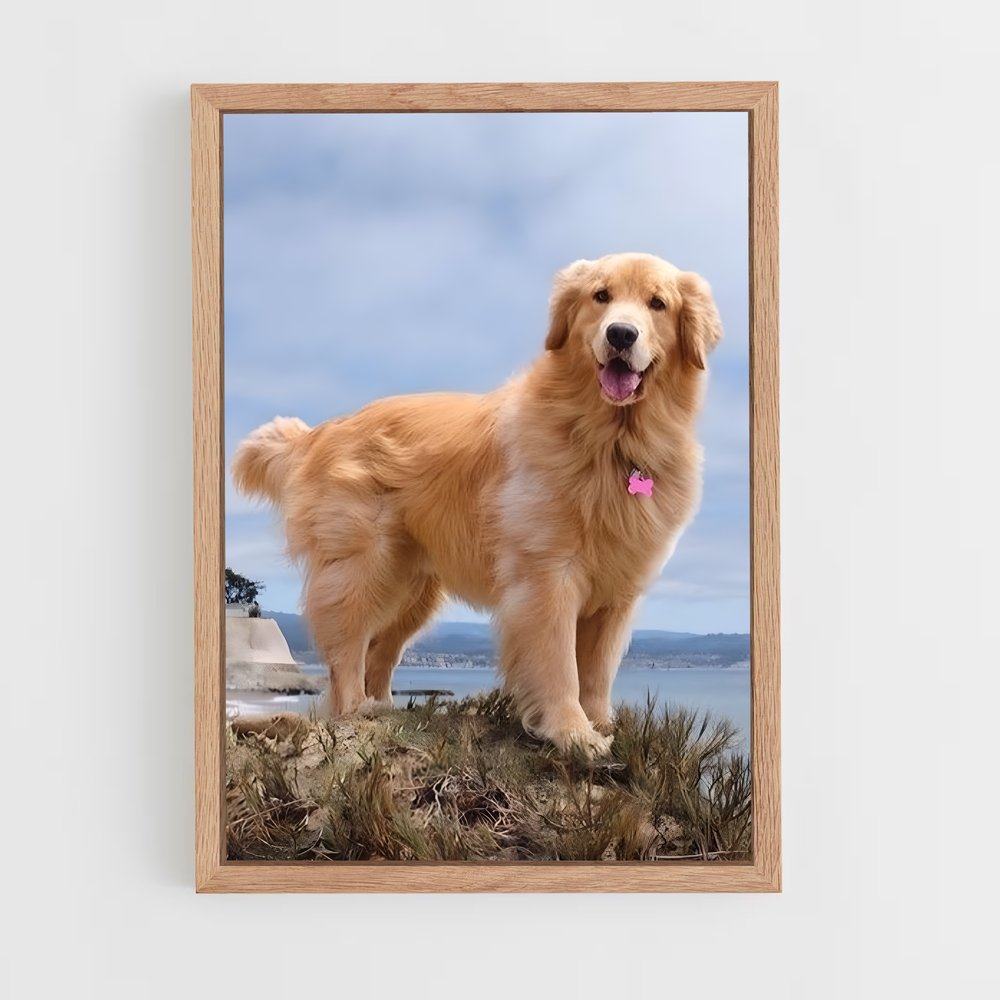 ap-golden retriever-3 cadre Bois clair