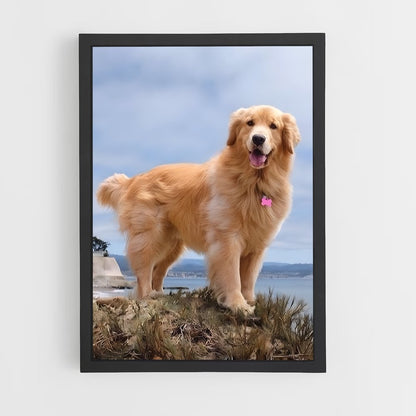 ap-golden retriever-3 cadre Noir