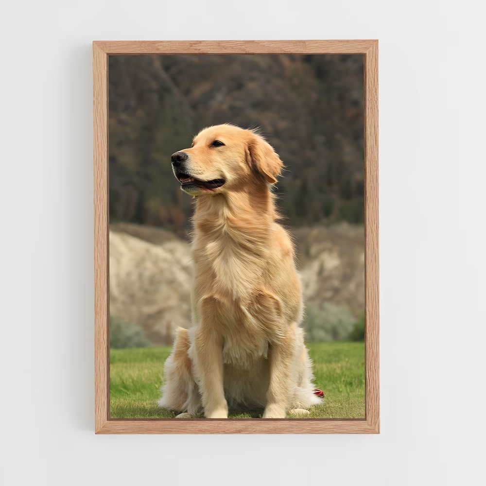 ap-golden retriever-4 cadre Bois clair