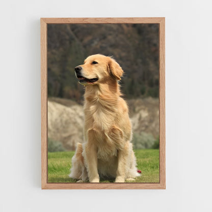 ap-golden retriever-4 cadre Bois clair