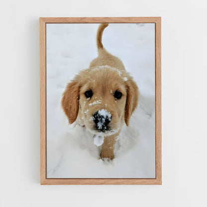 ap-golden retriever-5 cadre Bois clair
