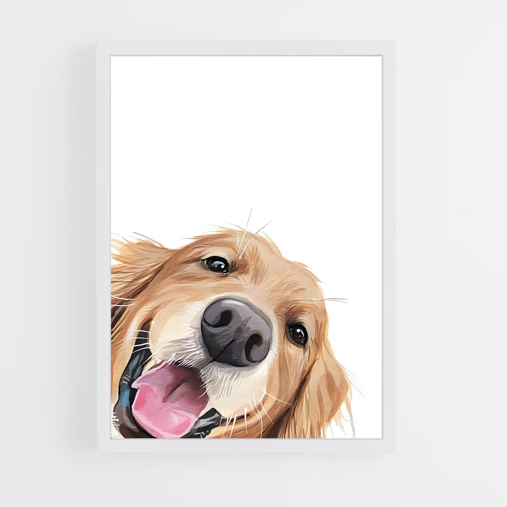 ap-golden retriever-7 cadre Blanc