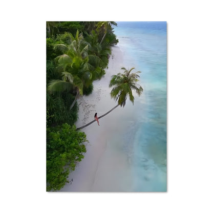 Poster Vol au-dessus des Maldives