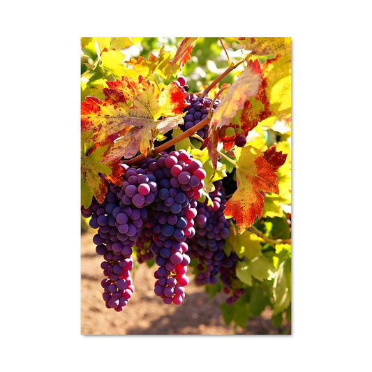 Poster Raisins Enchantés