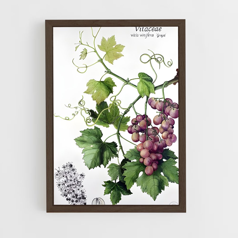 ap-grape vine-1 cadre Bois foncé