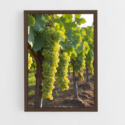 ap-grape vine-3 cadre Bois foncé