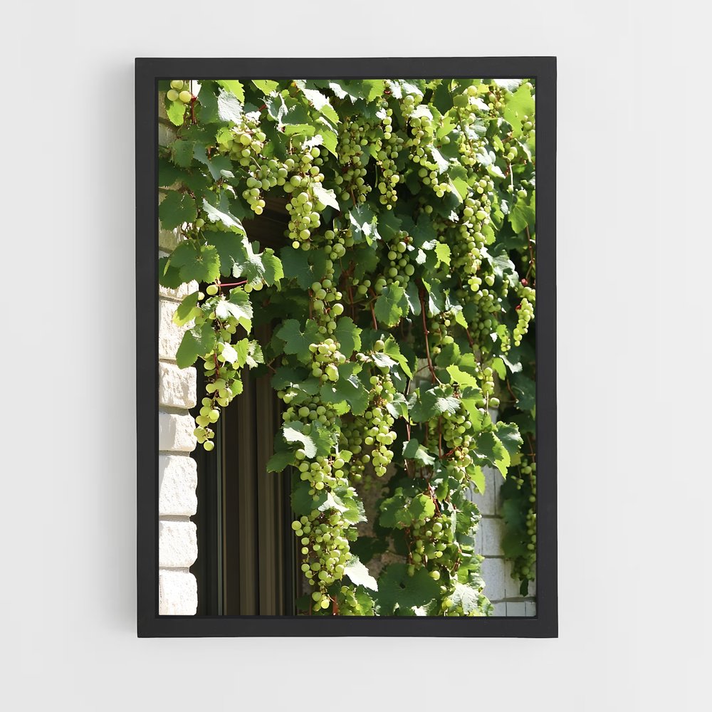 ap-grape vine-4 cadre Noir