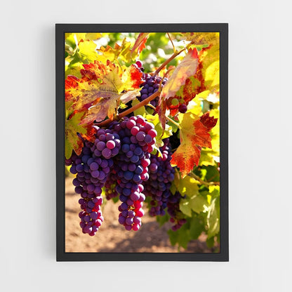 ap-grape vine-7 cadre Noir