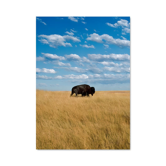 Poster Champs Éternels