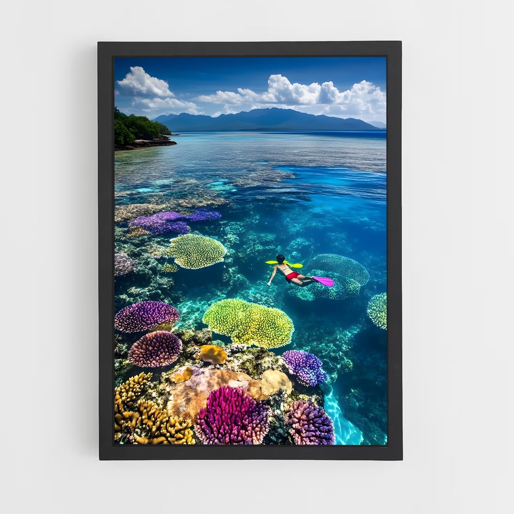 ap-great barrier reef-18 cadre Noir