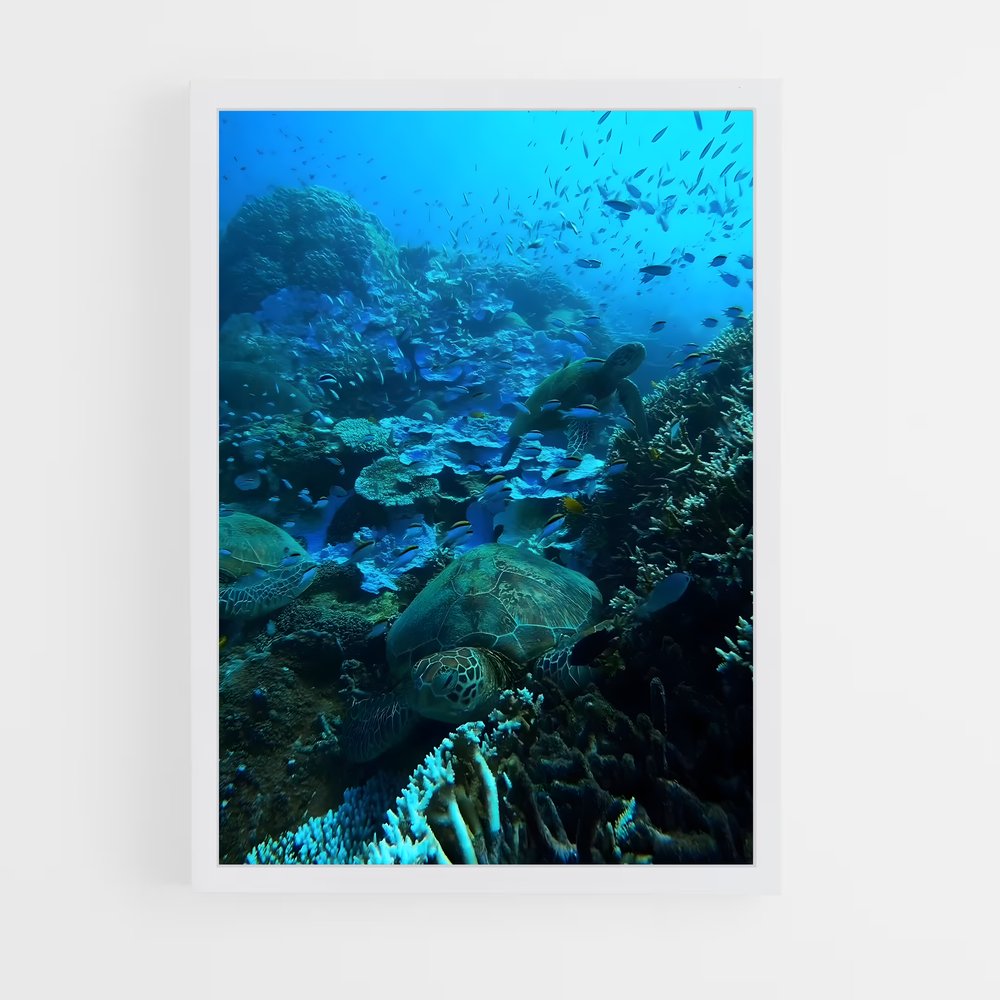 ap-great barrier reef-30 cadre Blanc