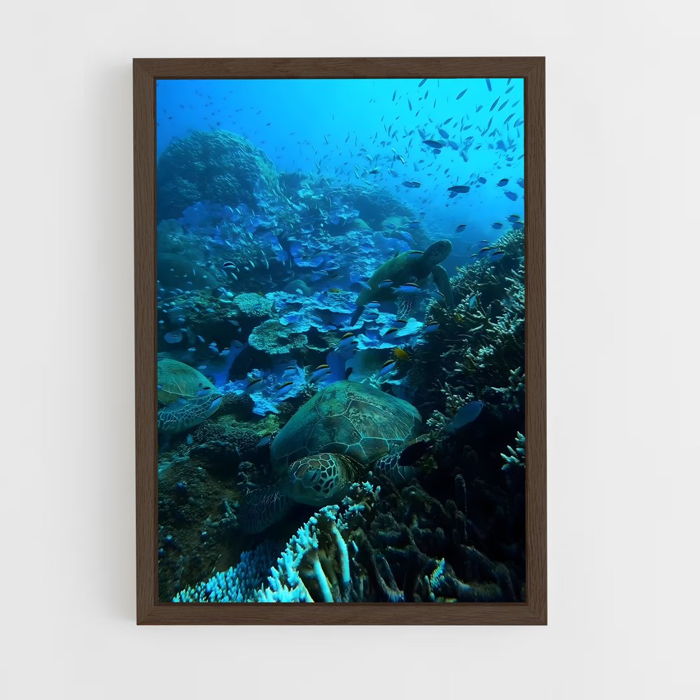 ap-great barrier reef-30 cadre Bois foncé
