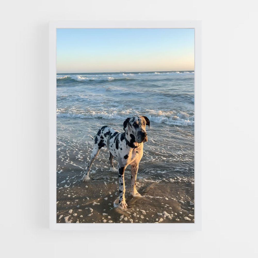 ap-great dane-2 cadre Blanc