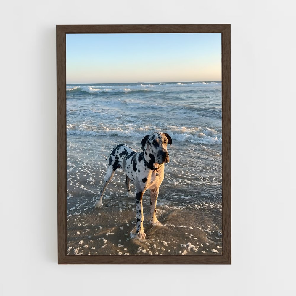 ap-great dane-2 cadre Bois foncé