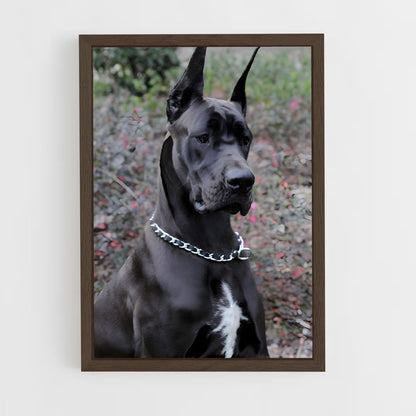 ap-great dane-3 cadre Bois foncé