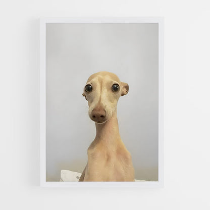 ap-greyhound-6 cadre Blanc