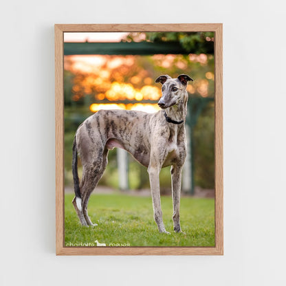 ap-greyhound-8 cadre Bois clair