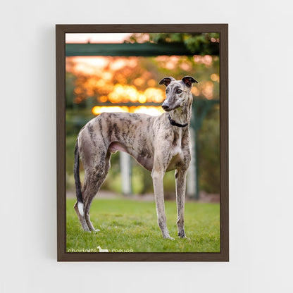 ap-greyhound-8 cadre Bois foncé