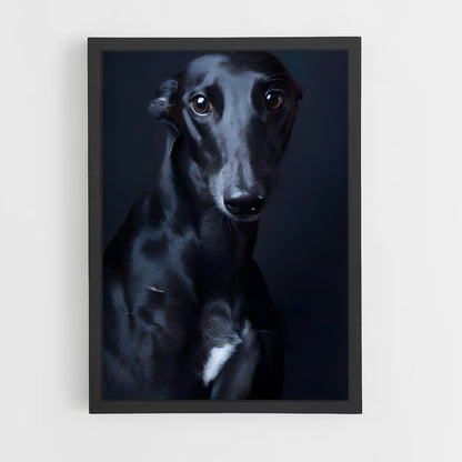 ap-greyhound-9 cadre Noir