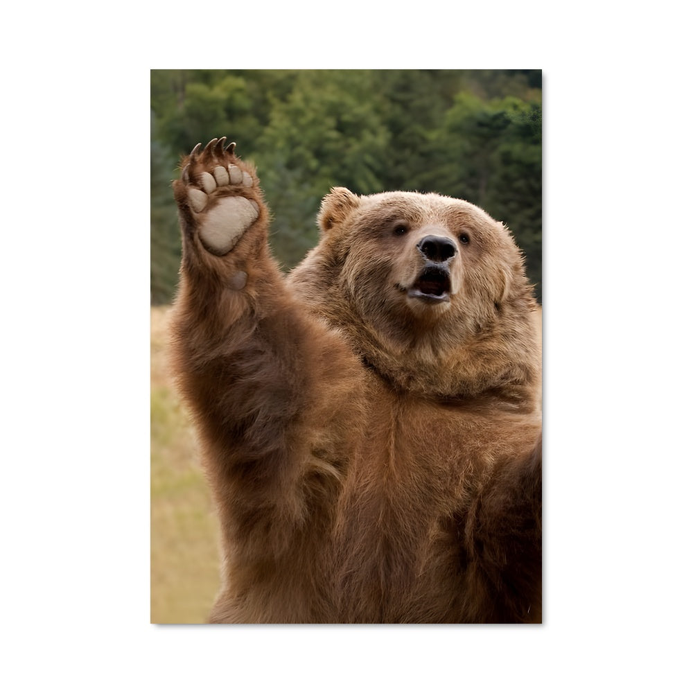 Poster Ours Majestueux