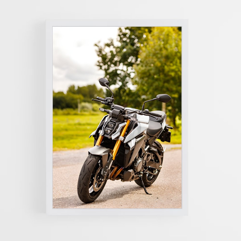 ap-gsx-s1000-2 cadre Blanc