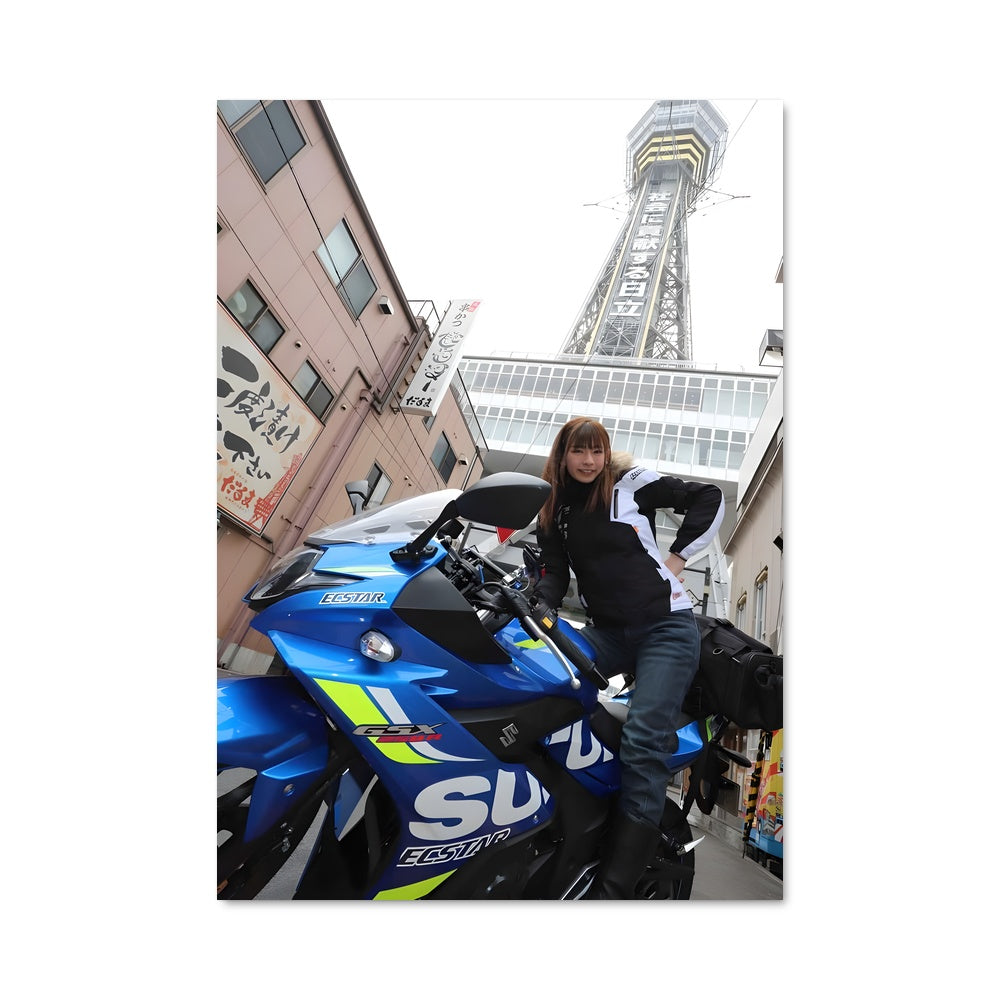 Poster Gsx250r 82742