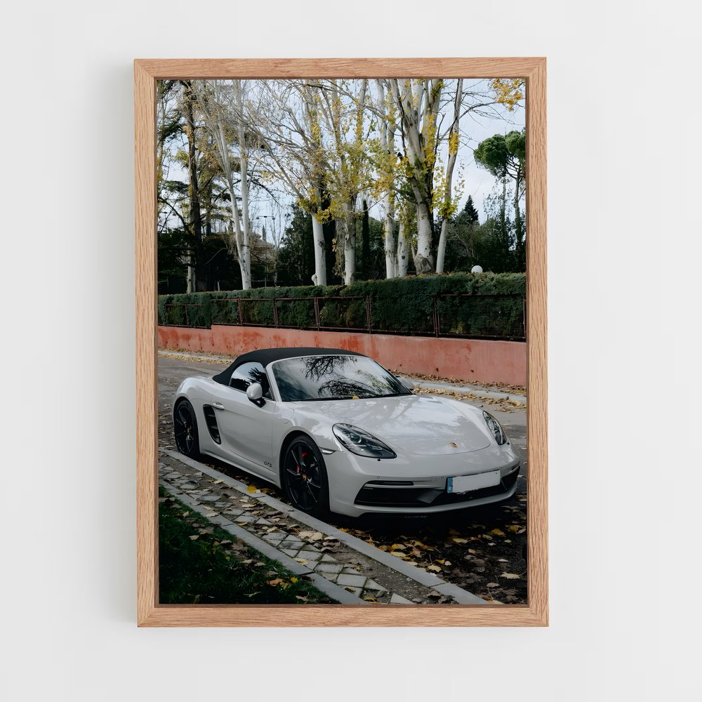 ap-gts-9 cadre Bois clair