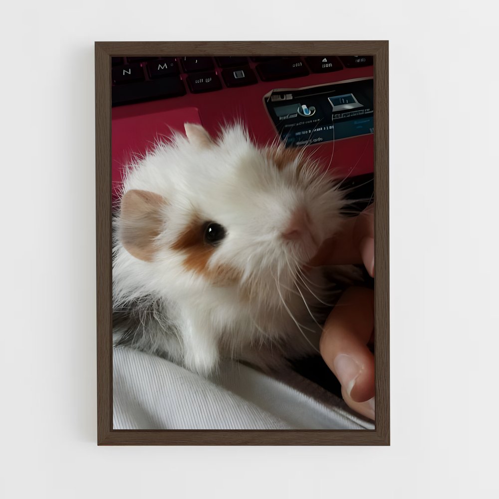 ap-guinea pig-3 cadre Bois foncé