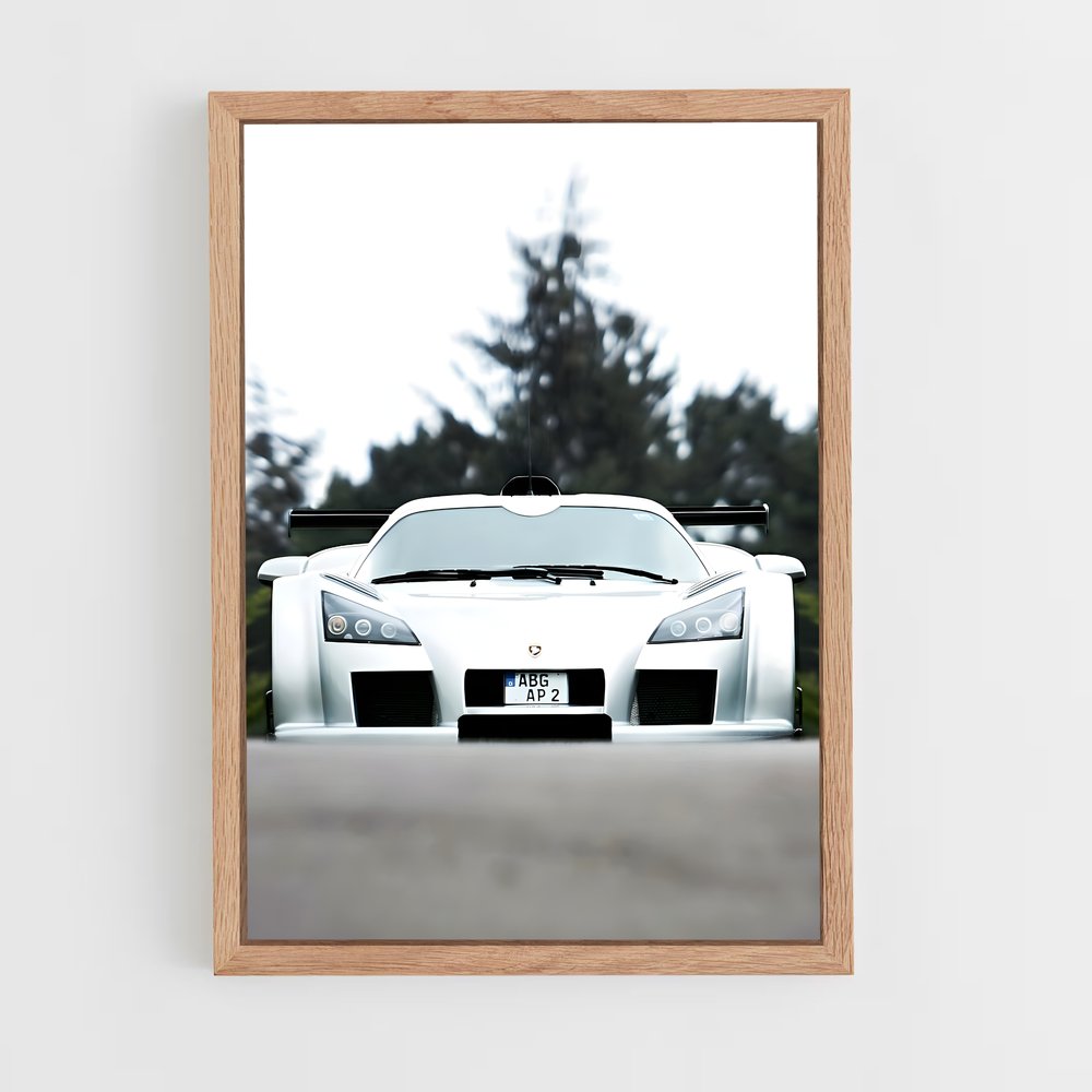 ap-gumpert-2 cadre Bois clair