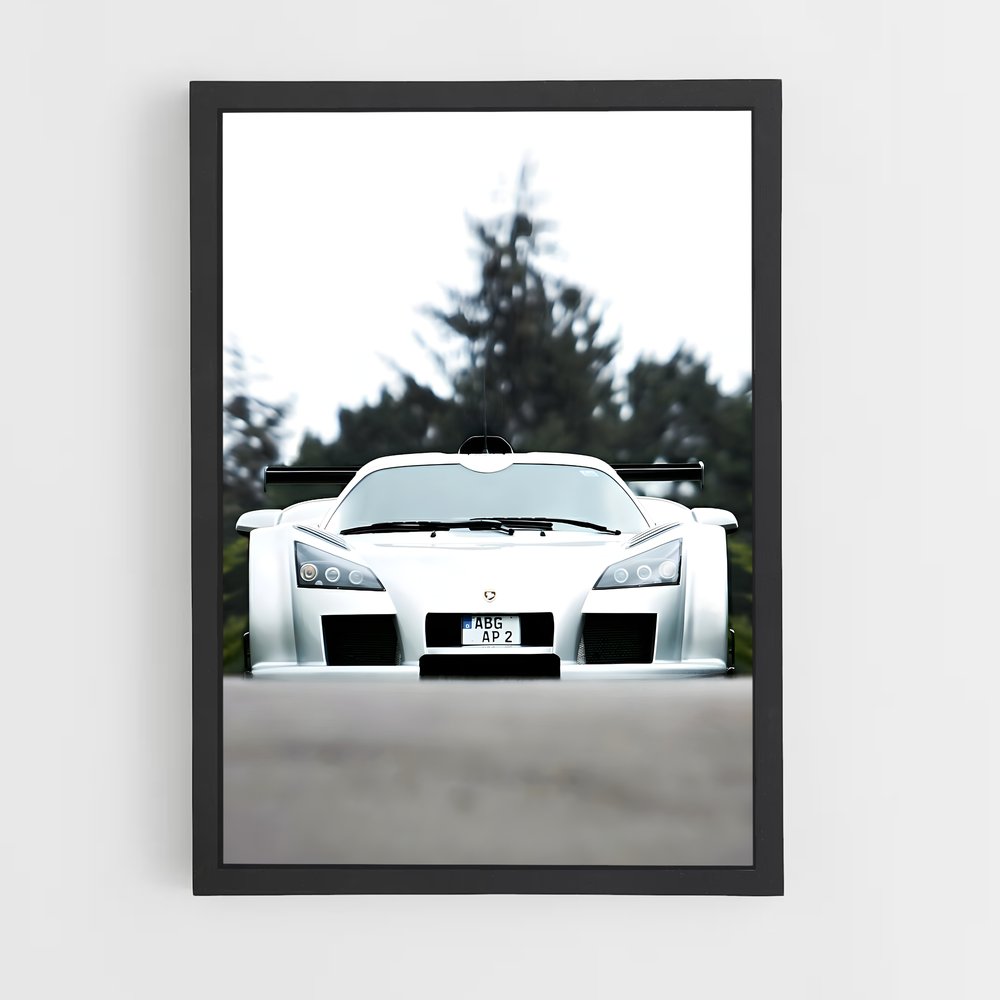 ap-gumpert-2 cadre Noir