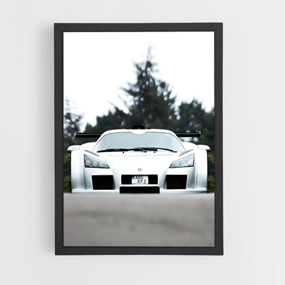 ap-gumpert-2 cadre Noir