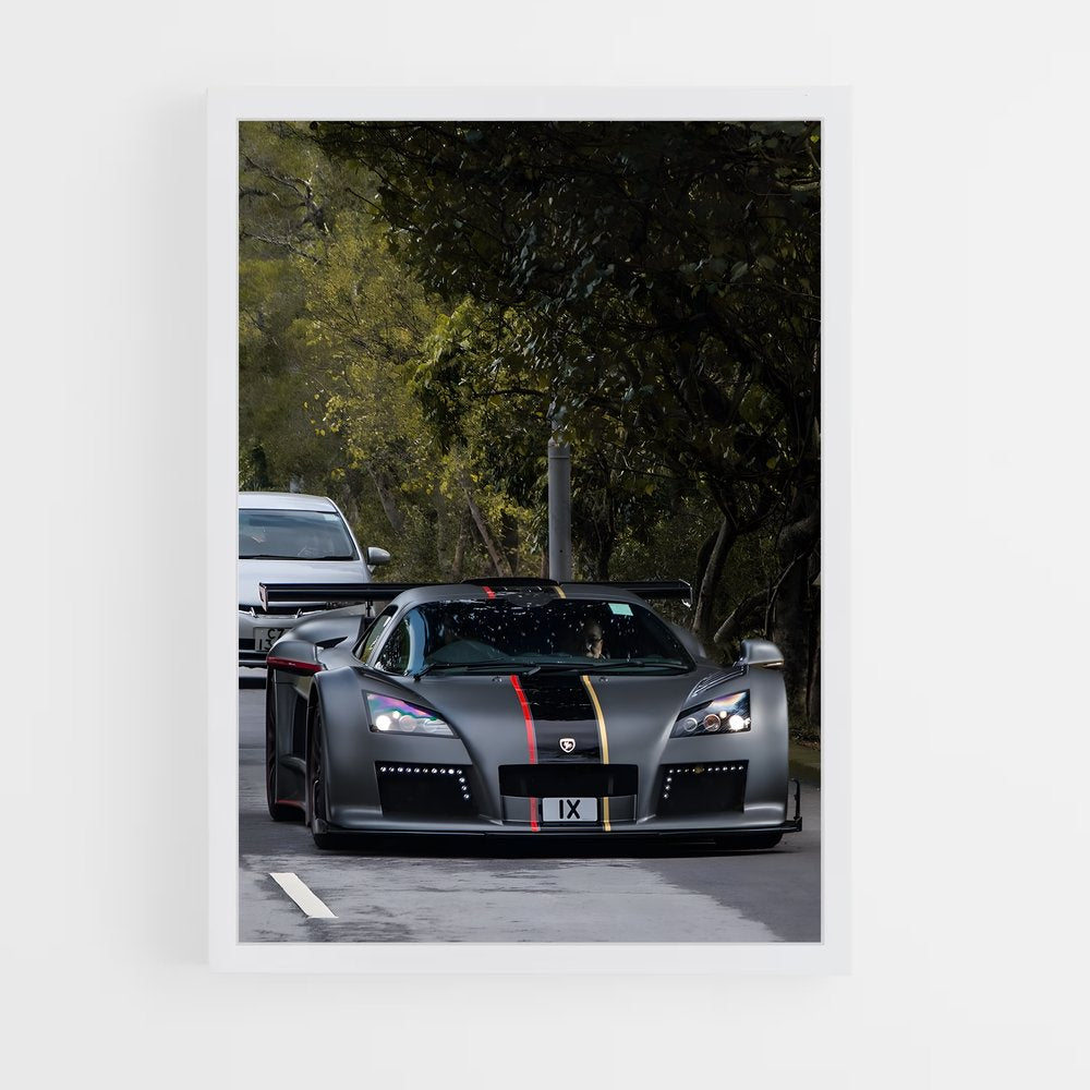 ap-gumpert-5 cadre Blanc
