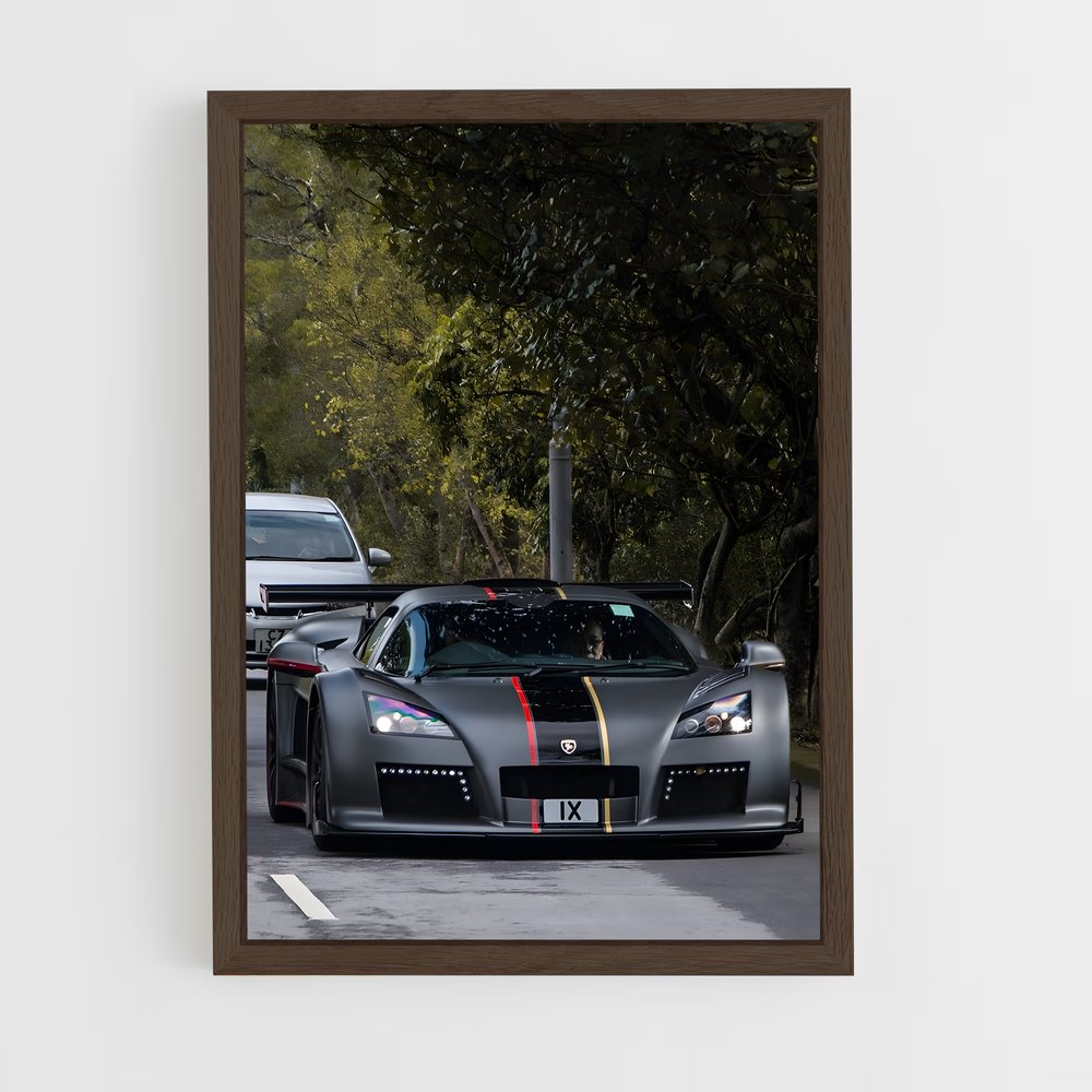 ap-gumpert-5 cadre Bois foncé
