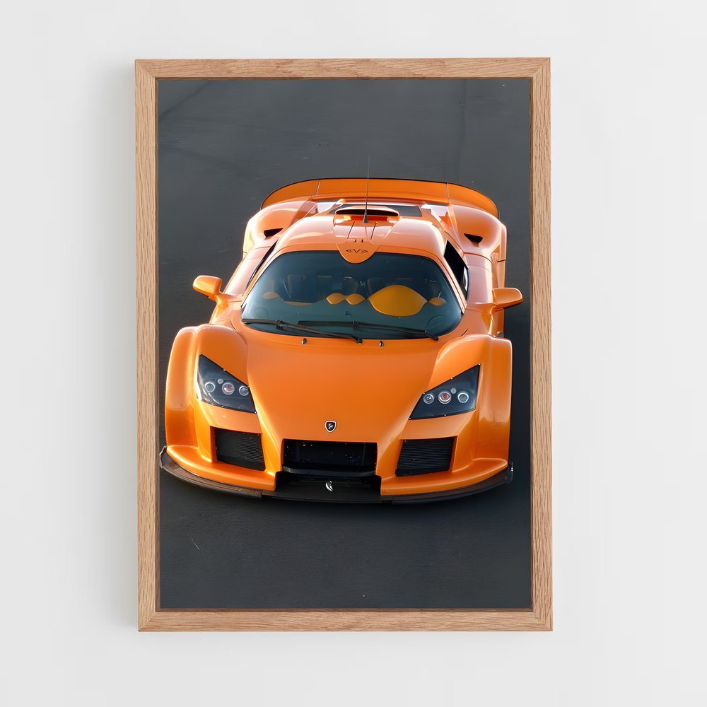 ap-gumpert-6 cadre Bois clair