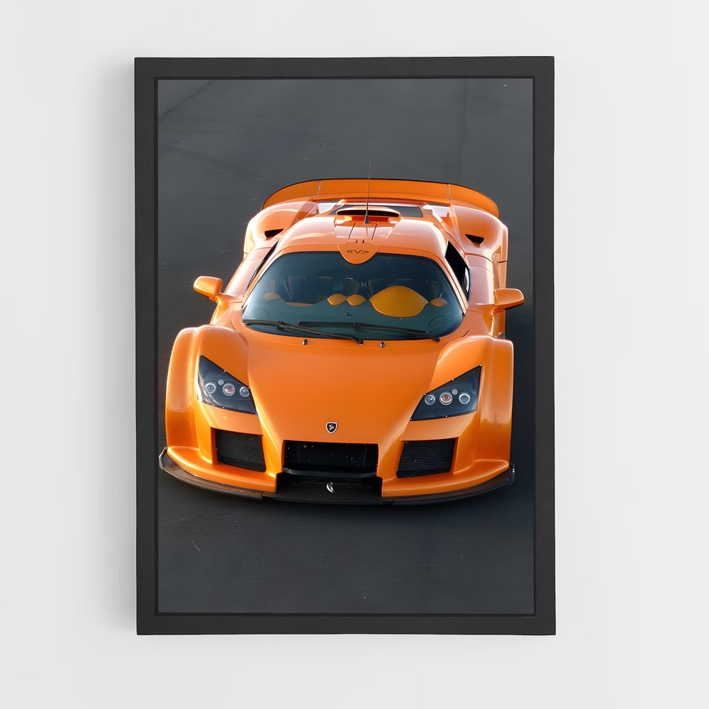 ap-gumpert-6 cadre Noir