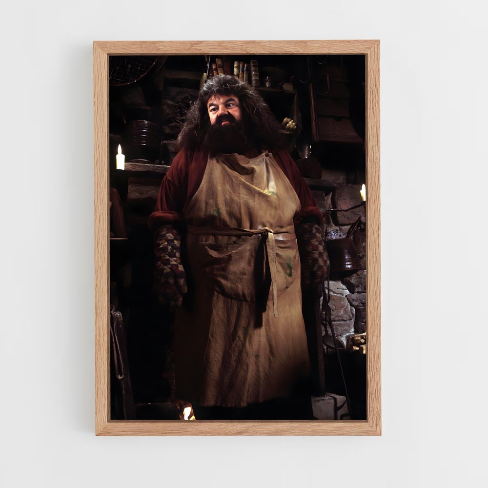 ap-hagrid-3 cadre Bois clair