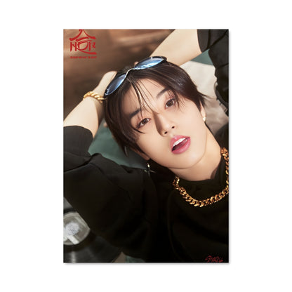 Poster Han 49583