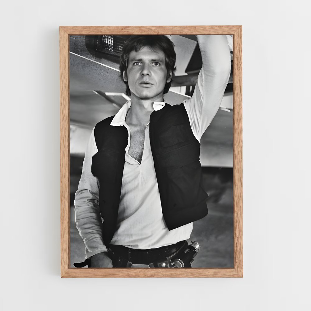 ap-han solo-3 cadre Bois clair