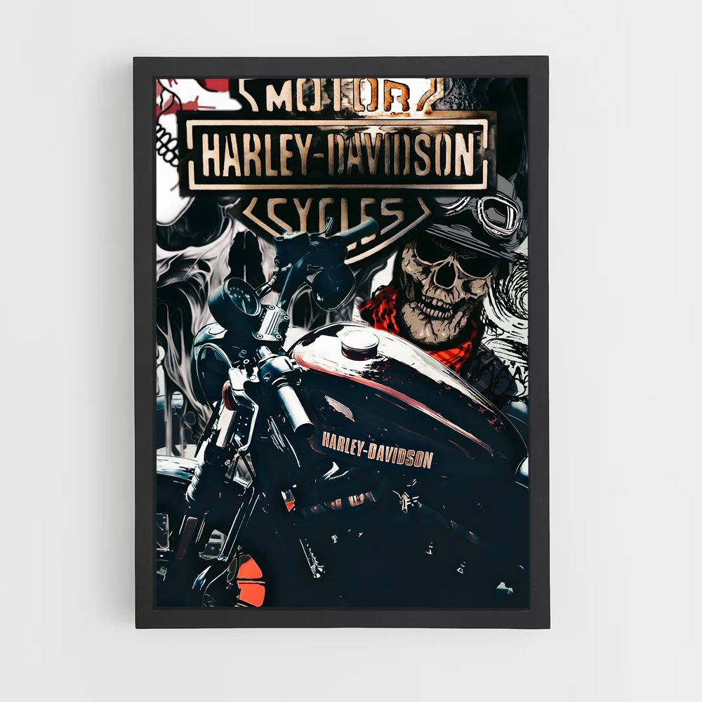 ap-harley race-3 cadre Noir
