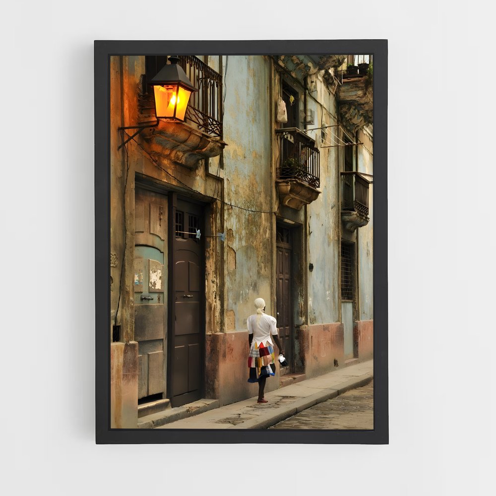 ap-havana-6 cadre Noir