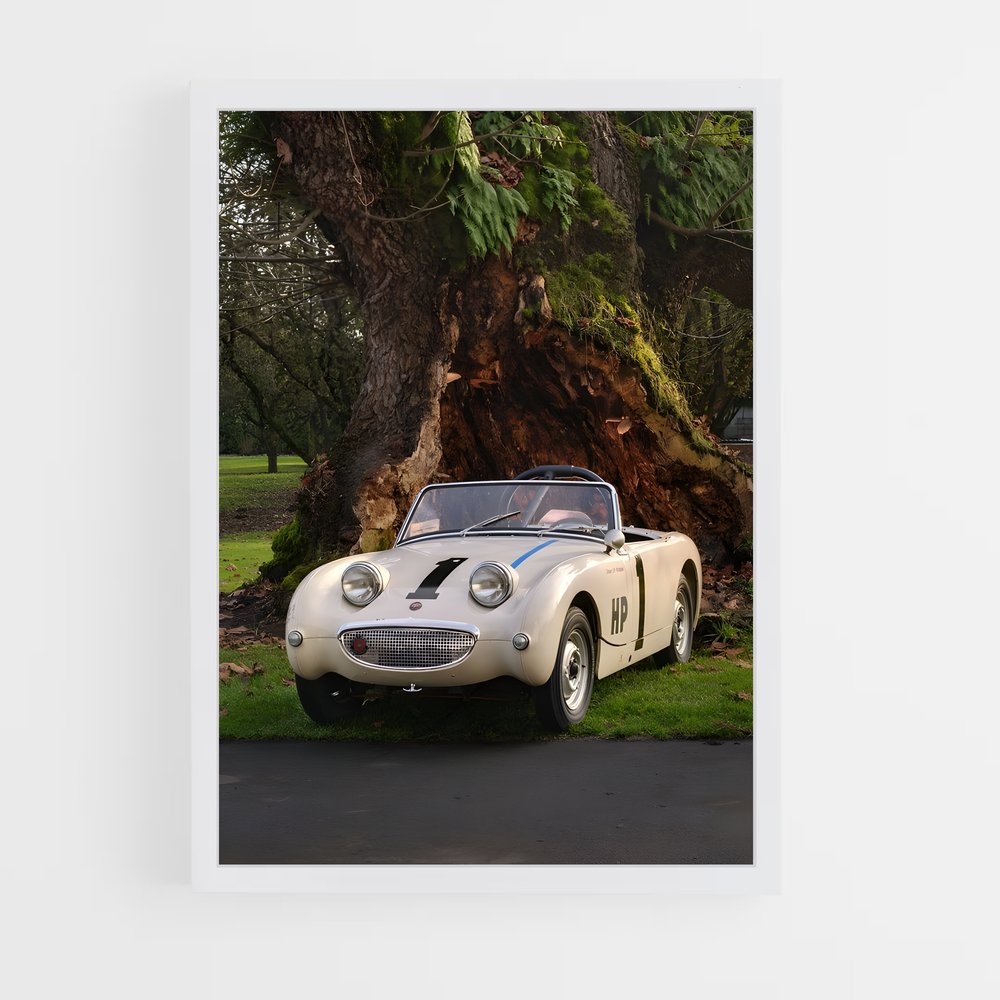 ap-healey-2 cadre Blanc