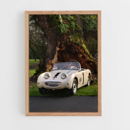 ap-healey-2 cadre Bois clair